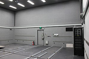 IMG_5394